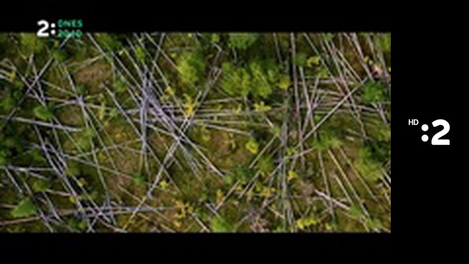 Zázračný miniateliér E93 - Pečené šarkany