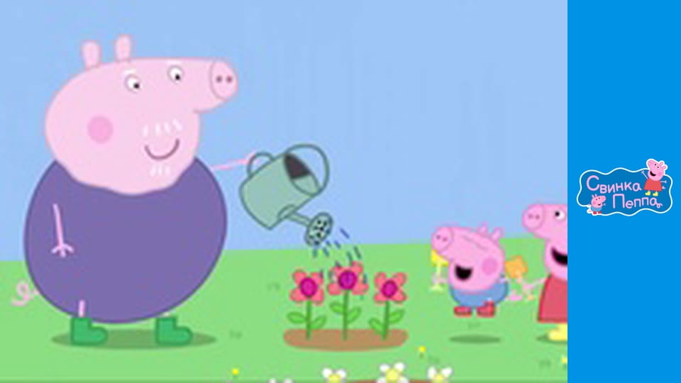 Frogs, worms and butterflies