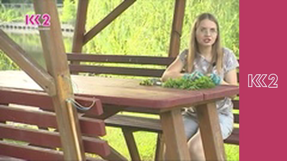 Шість соток S1E9