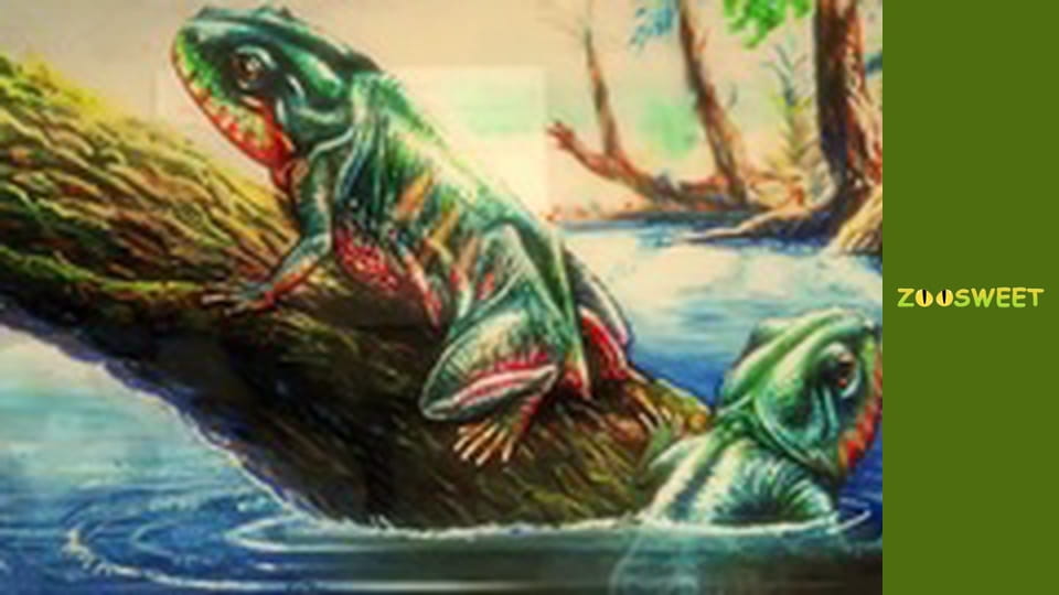 Wild life, Season 1, Episode 13