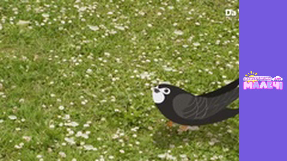 Мілі Міс Розпитайка - серія 29