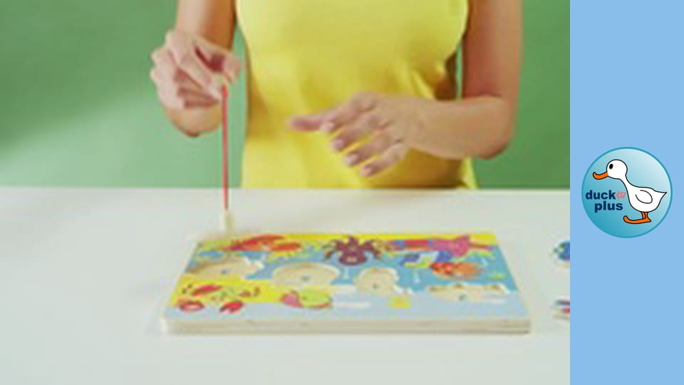 The World of Toys - Magnetic Fishes 2