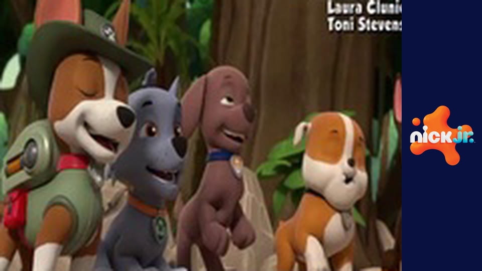 М/с "Щенячий патруль", 10 сезон, 20 с.