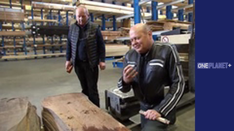 Искусство Пространства. - cерия 21