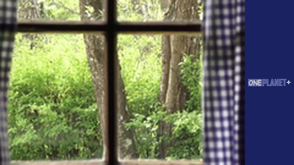 Випуск 3, Різдво: Тиха ніч - Свята ніч. Історія всесвітньо відомої пісні