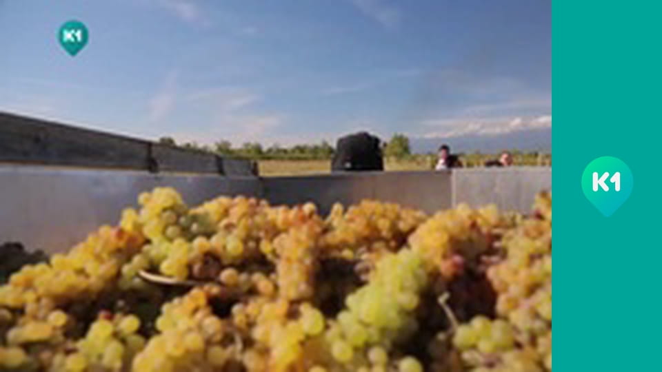 "Орел і Решка. Навколо світу".