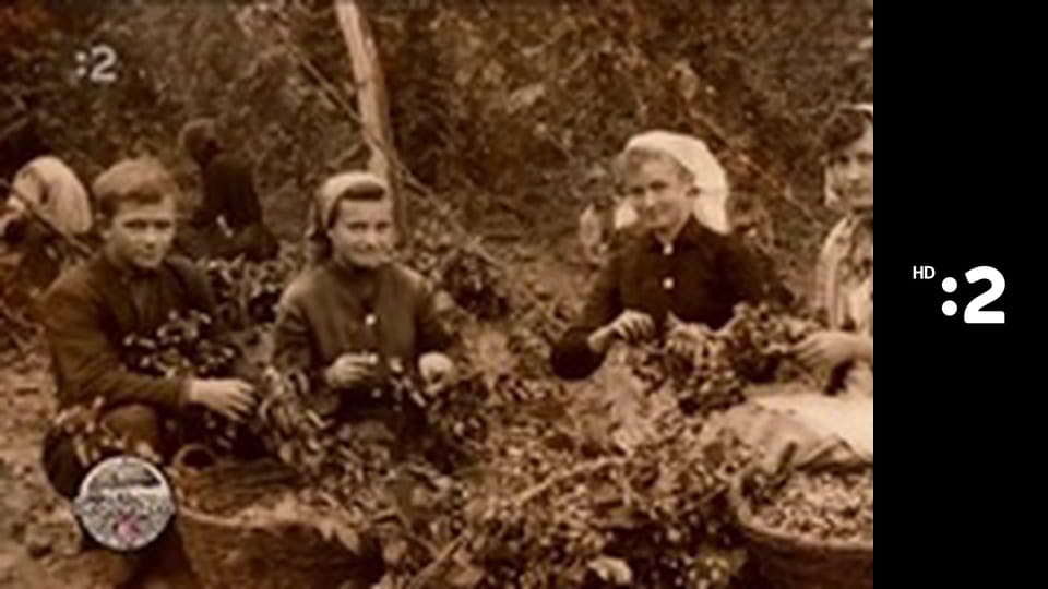 Správy - Hírek E210