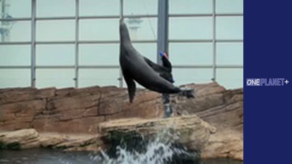 Мистецтво Простору. - серия 27