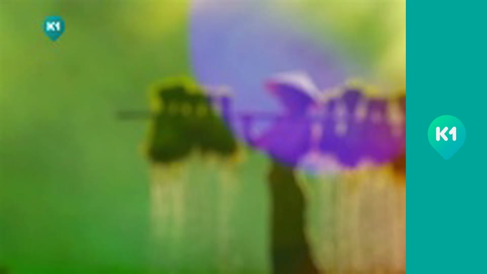 "Інший світ".