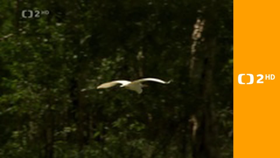 Cesty kolem světa E7