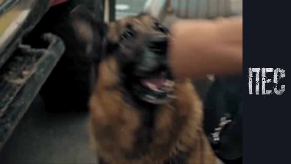 Пес. Новорічний, Серія 2