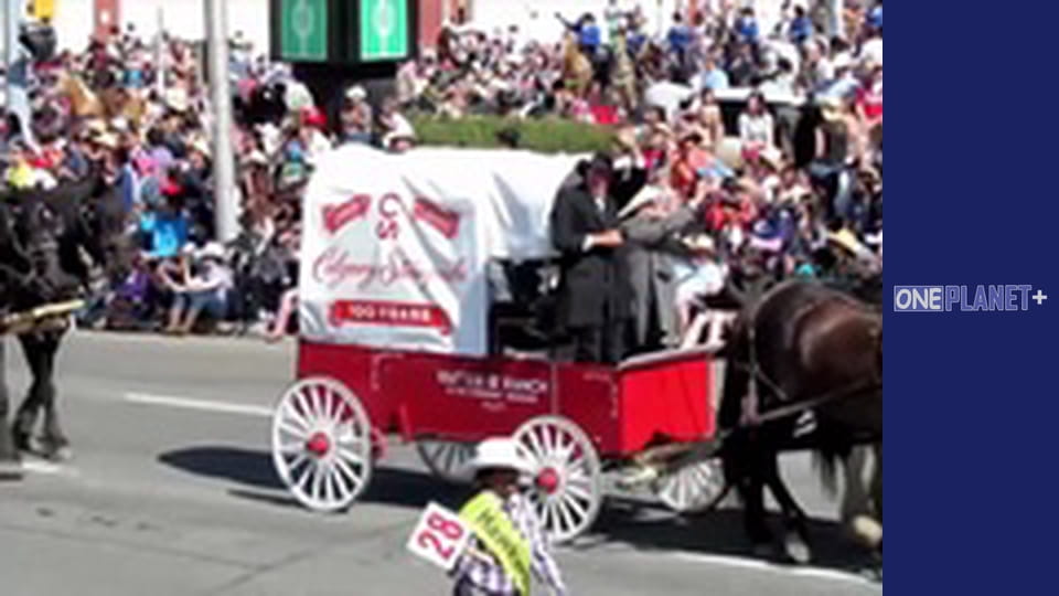 Фестивали планеты, Сезон 1, Выпуск 13