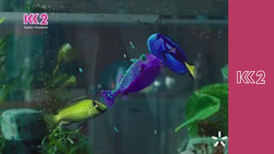 Сімейний суд E43 - Жорстока брехня