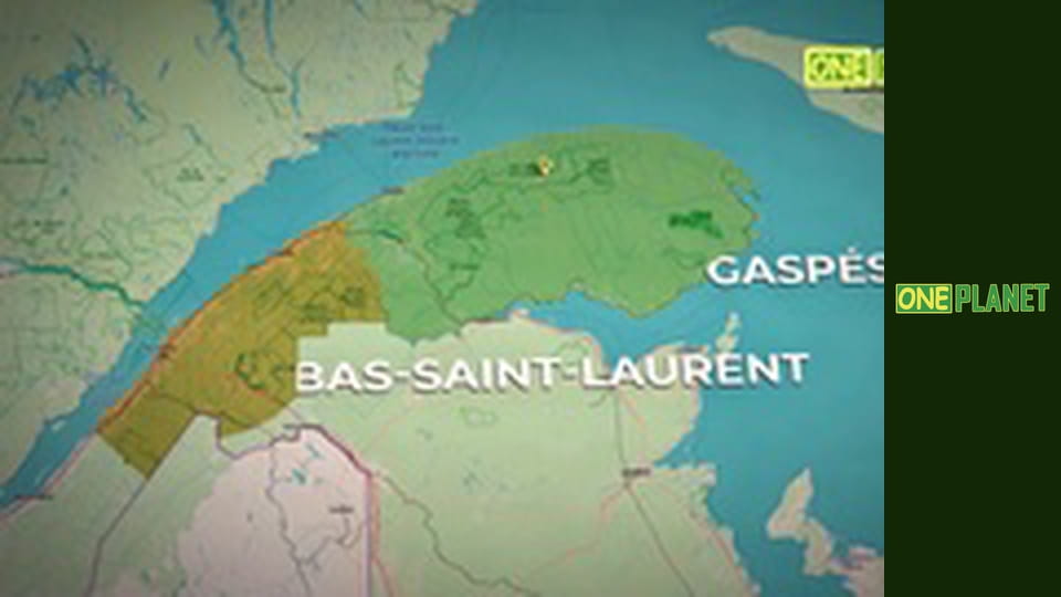 Крутой маршрут, 21 эп.