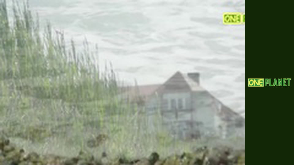 Лицом к лицу с волной, 1 эп.