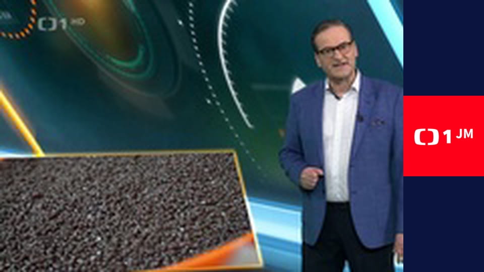 Všechny velké a malé bytosti - Návrat domů