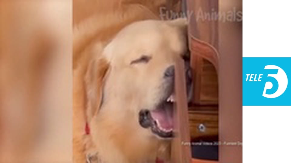 Uśmiechnij się S3E3