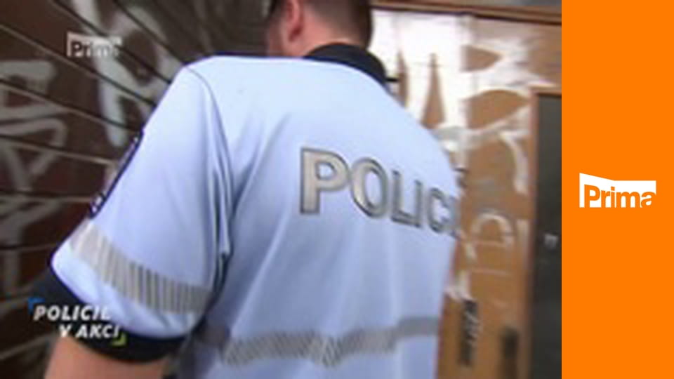 Policie v akci - Vykázání I / Děti na koloběžkách / Vykázání II