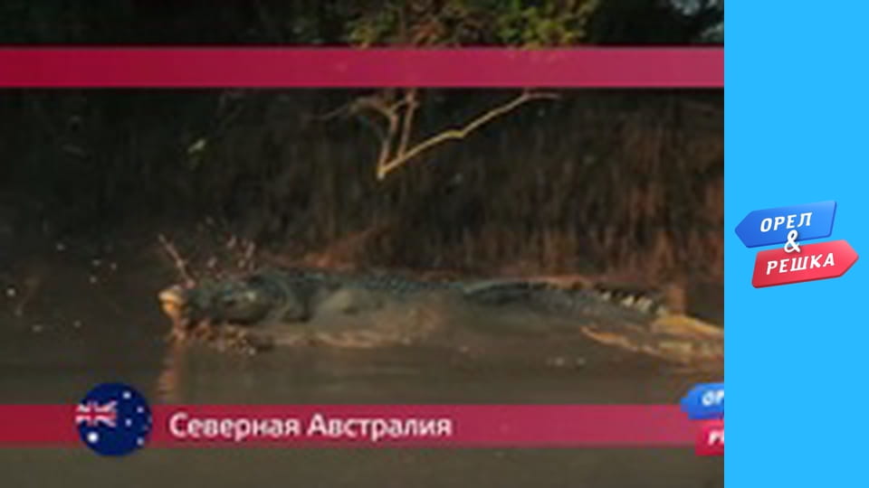 Морський сезон - Дарвін