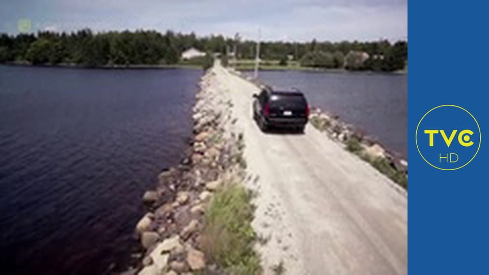 Klątwa Wyspy Dębów S4E7 - Wszystko, co się świeci