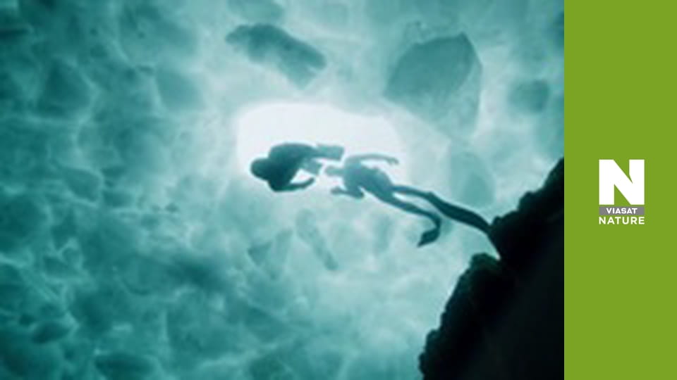 Great Lakes Untamed - The Big Freeze