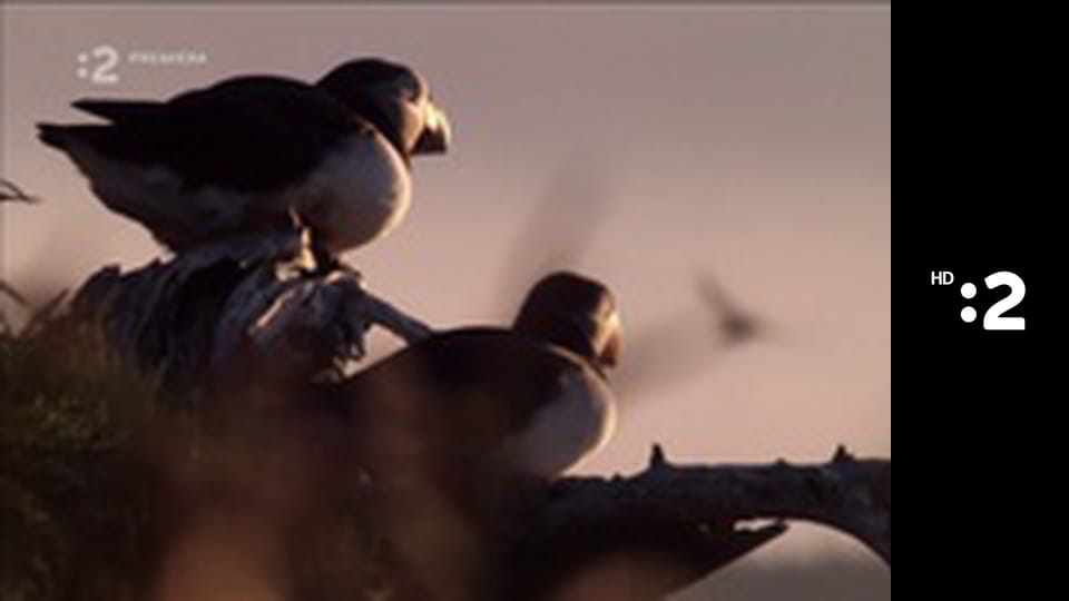 Zázračný miniateliér E1 - Banánové nanuky