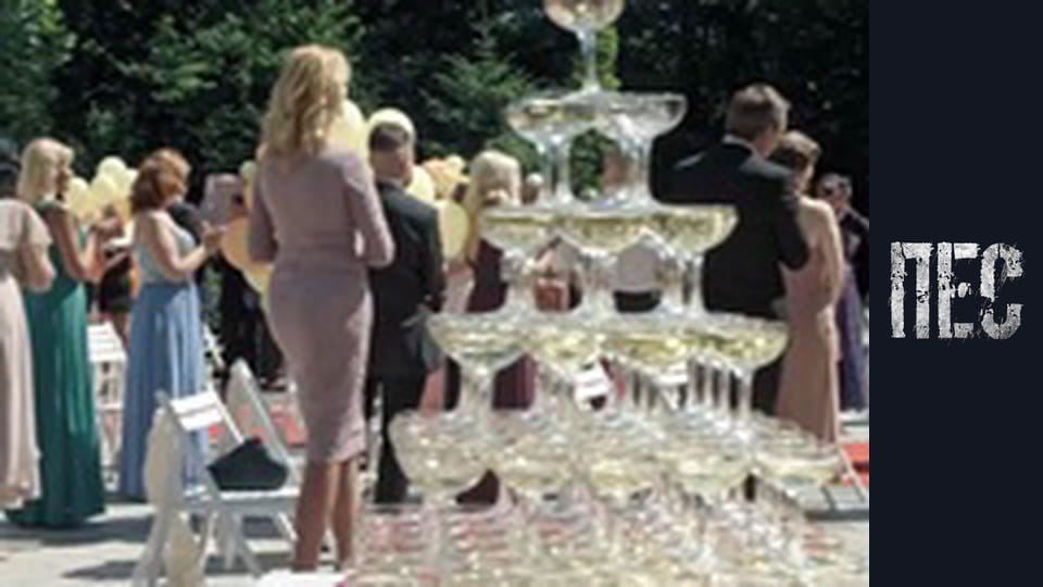 Пес, Сезон 6, Серія 9