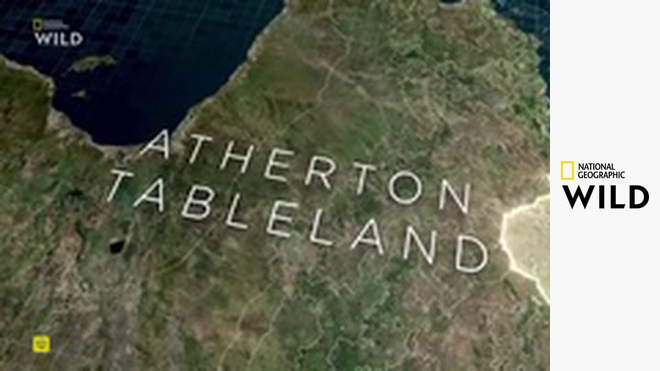 Zrozeni přežít S1E10 - Lesní poutníci