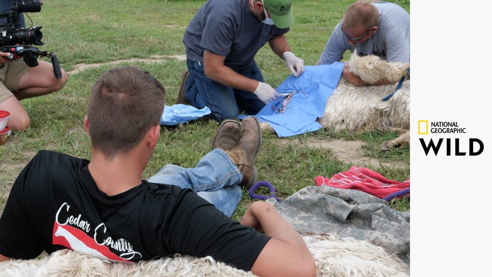 Врачи Хартленда S3E2