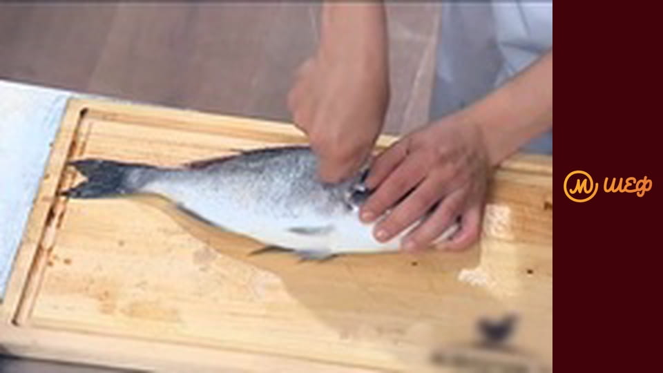 Сезон 9, Выпуск 2, Часть 5