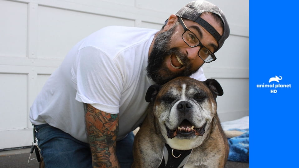 Дома для животных S1E1 - Кошкин дом