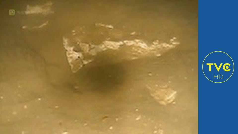 Klątwa Wyspy Dębów S4E8 - Tajemnica Samuela Balla