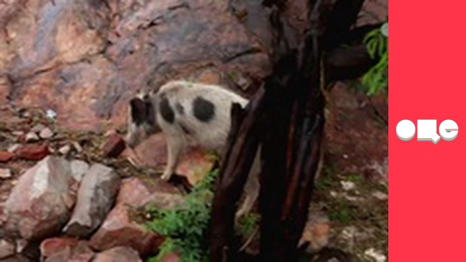 Особенности национальной работы, 1 сезон, 3 эп.