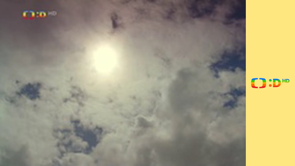 Velká kniha o zvířátkách II