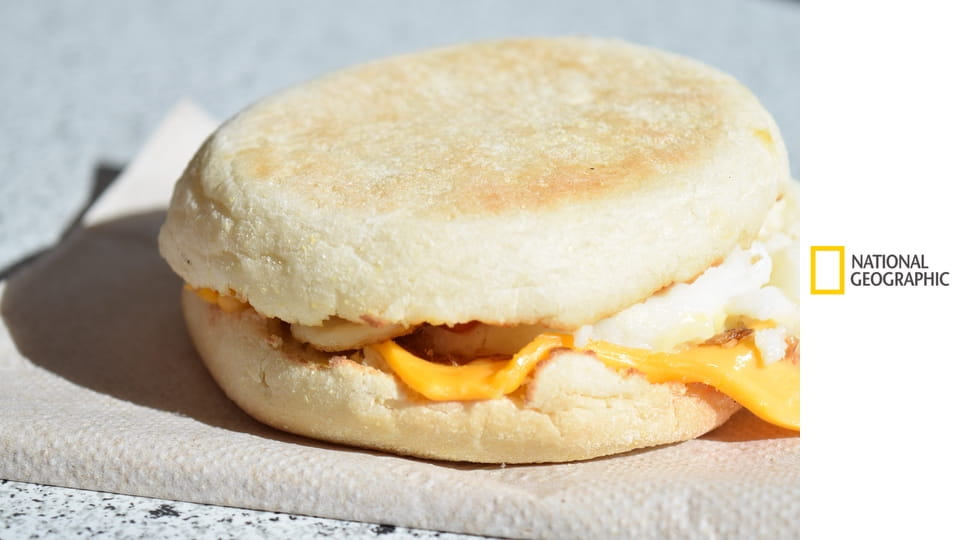 Фабрика еды S2E8 - Конфеты с игрушкой и курица с пармезаном