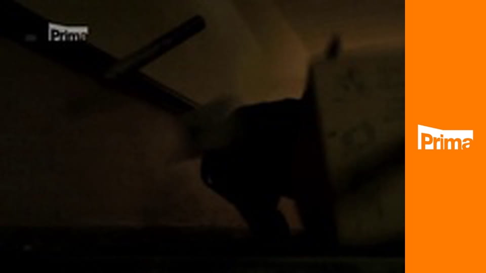 Námořní vyšetřovací služba S8E12 - Nábor