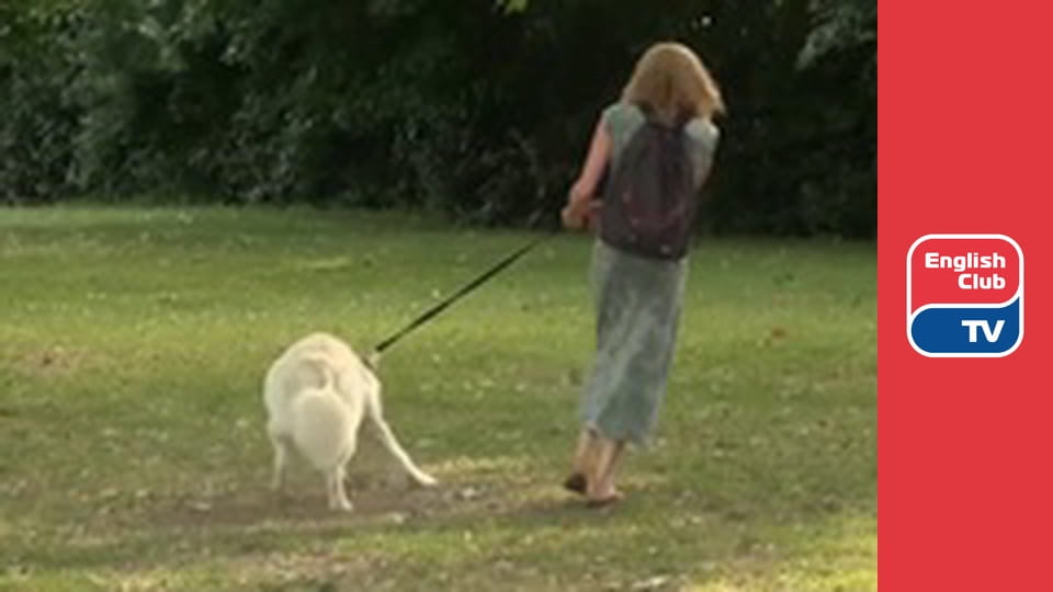 Magic Science E8 - Flying