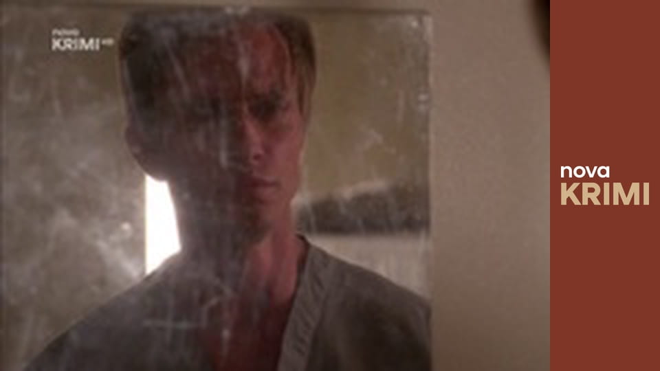 Myšlenky zločince S11E14