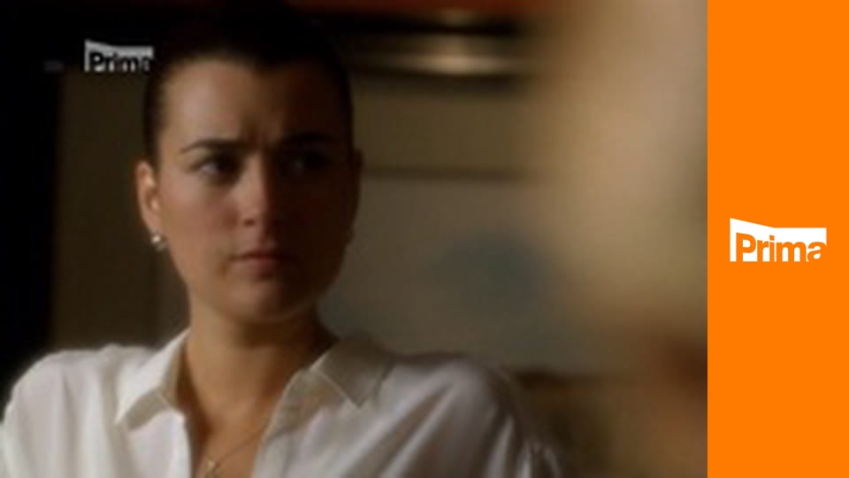 Námořní vyšetřovací služba S8E8 - Cizí nepřítel