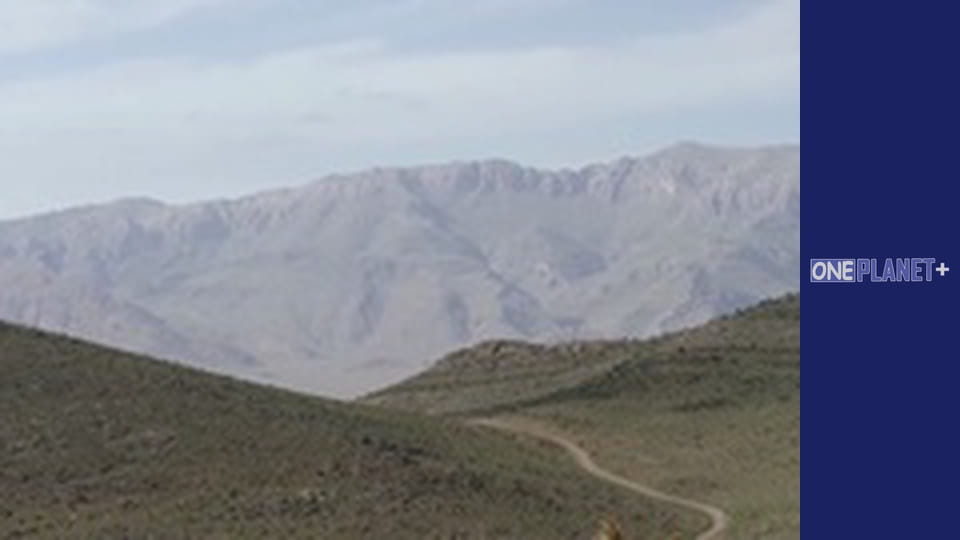 Исламский Дизайн Сада - cерия 1