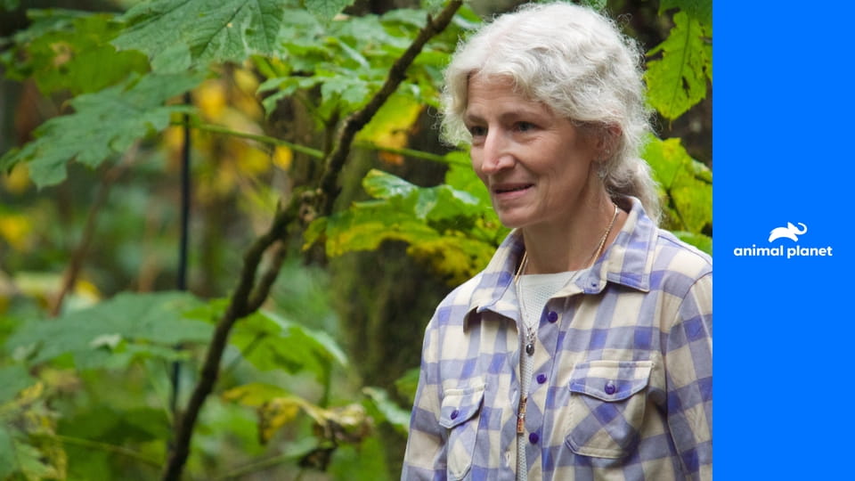 Аляска: Семья из леса S3E32