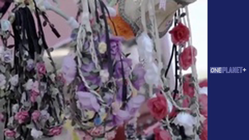 Фестивали планеты, Сезон 1, Выпуск 6