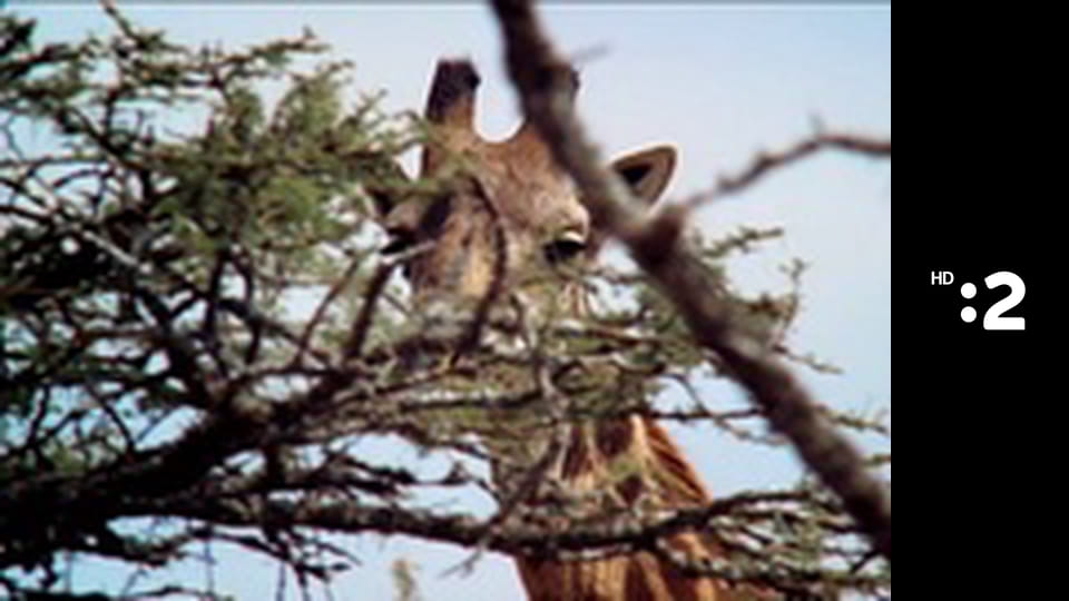 Zázračný miniateliér E58 - Darček pre Mikuláša