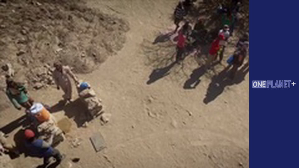 Подорож у Минуле, Випуск 9