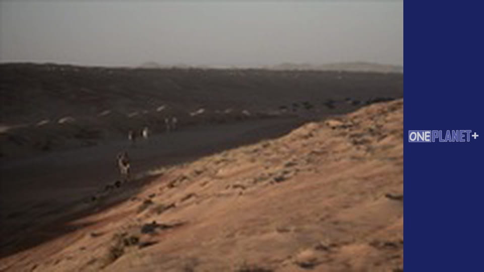 Подорож у Минуле, Випуск 9