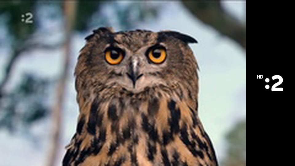 Čudná príroda E10