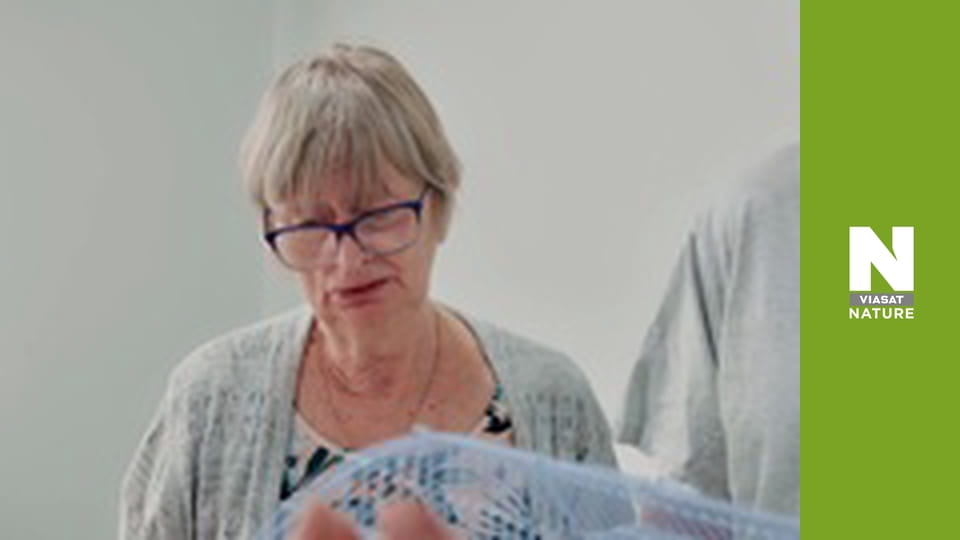 The Bizarre Pet Vets - Episode 5