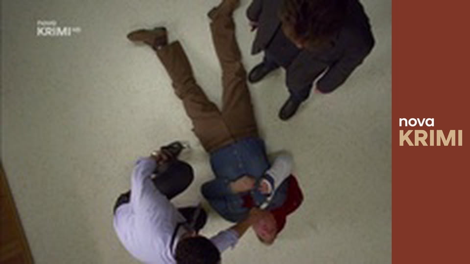 Myšlenky zločince S11E15