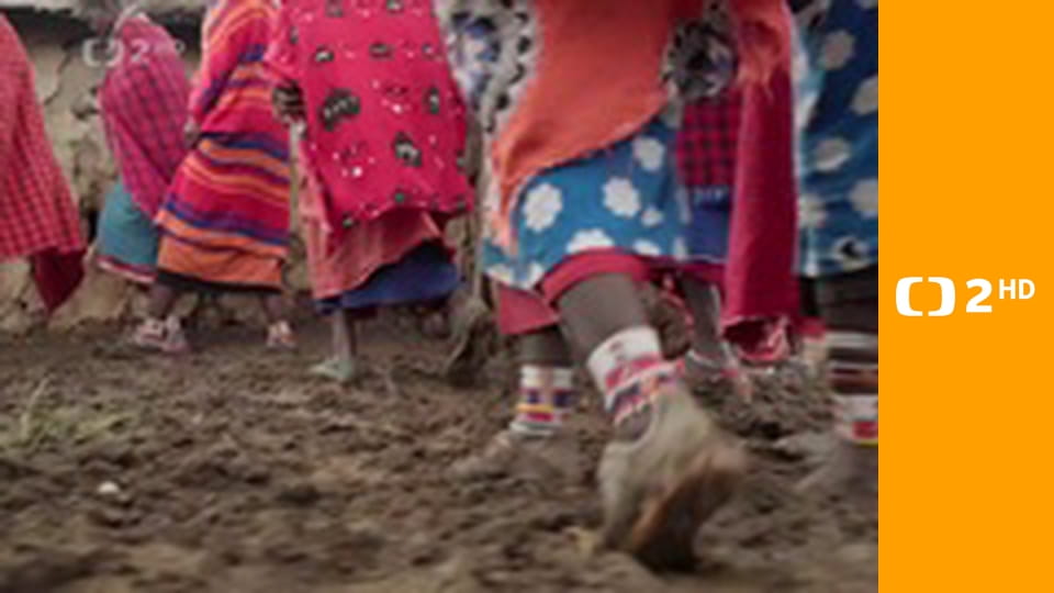 Zvířecí odysea E1 - Cesta afrického slona