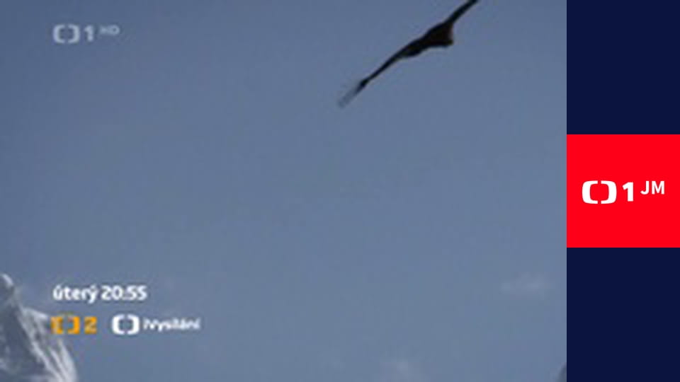 Události v regionech